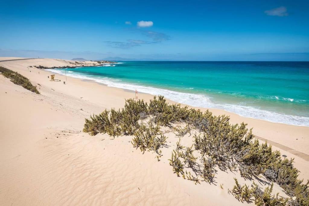 B-Rent Alisios Playa Isla Bonita Lägenhet Corralejo Exteriör bild
